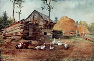 Homestead: CANADIAN FARMYARD 2
