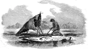 Voyageur: Canadian guide making a canoe 1858