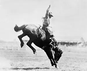 Canadian Rodeo