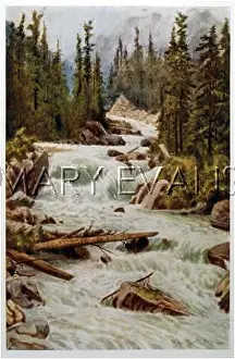Selkirk: CANADIAN WATERFALL