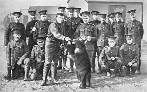 Mascots: Canadians in camp at Salisbury Plain with bear mascot