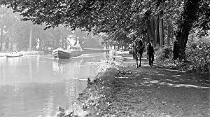 Dappled: Canal boat drawn by horse