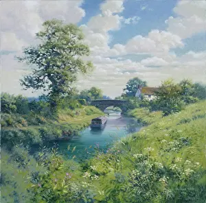 Wildflowers: Canal Bridge, Horton, Wiltshire