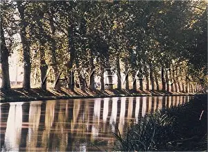 Shirley Evans: CANAL DU MIDI