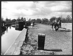 Nosebag: CANAL TOW PATH & HORSE