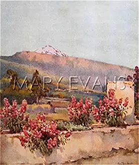 Orotava: CANARIES/TENERIFE PEAK