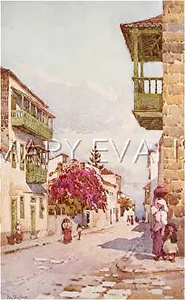 Orotava: CANARIES/TENERIFE PUERTO