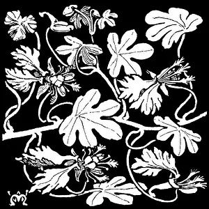 Lilley: Canary Creeper