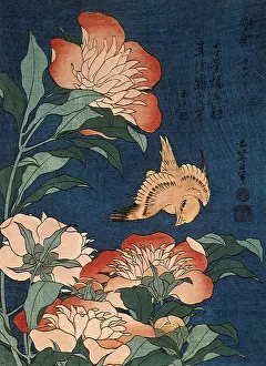 Blooms: Canary and Peony, by Hokusai