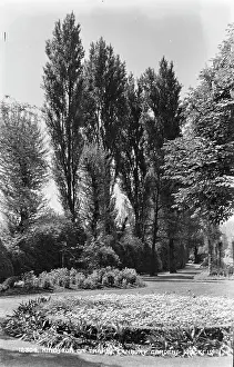 Kingston: Canbury Gardens in Kingston upon Thames