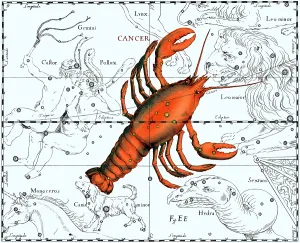 1687: Cancer Constellation, 1687