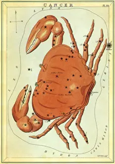 Tarot: Cancer, the Crab