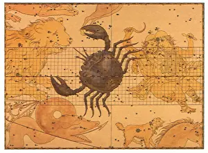 Pegasus: Cancer the Crab