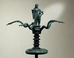 Margherita: A candelabra shaped cymatium from
