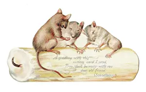 Candle and three mice on a cutout greetings card