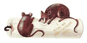 Nibbling: Candle and two mice on a cutout greetings card