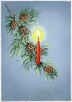 Corsican: Candle on Pine bough with cones