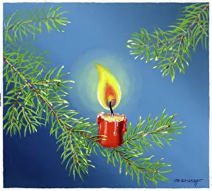 Bough: Candle on a Spruce bough