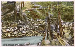 Darjeeling: Cane Bridge - Darjeeling District, India