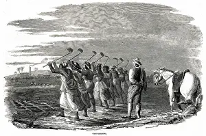 Hoeing: Cane holeing, Jamaica 1849