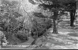 Pathway: Canford Cliffs Chine