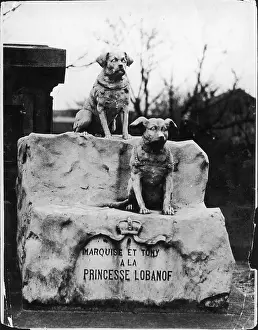 Asnieres: CANINE GRAVESTONE