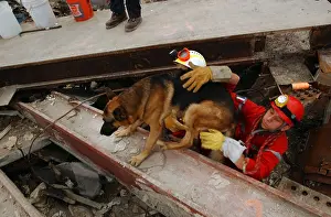 21st Century: A canine rescue worker and his handler emerge from