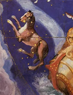 Basis: Canis Major