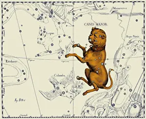 1687: Canis Major Constellation, 1687