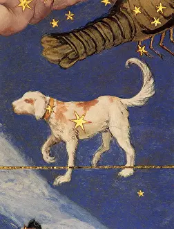 Basis: Canis Minor