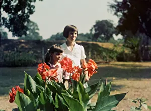 Cannas: Cannas - Rangoon