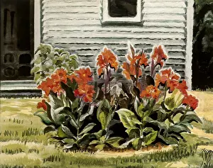 Ephraim: Cannas and Studio