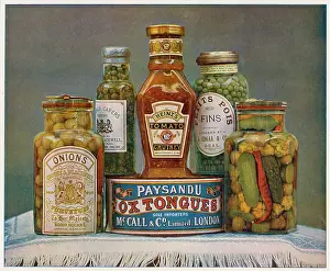 Canned: Canned and Bottled Foods