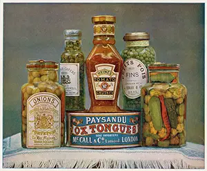 Arranged: Canned and Bottled Foods