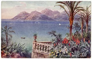 Esterel: CANNES/FROM L'ESTEREL