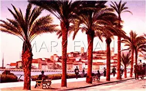 Croisette: CANNES/PALM TREES C1900