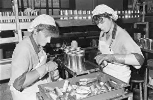 Shipman: CANNING MACKERELS