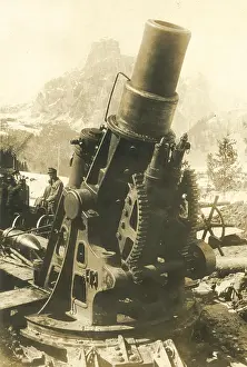 Cannon