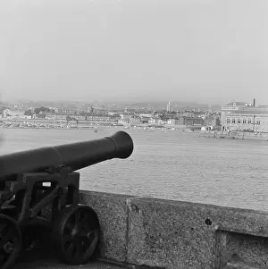 Edgcumbe: Cannon at Mount Edgcumbe