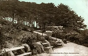 Cannons: The Cannons, Oak Hill Park, Lancashire