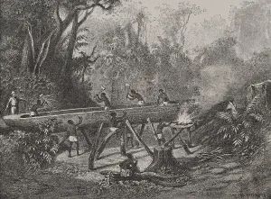 Colonists: Canoe construction