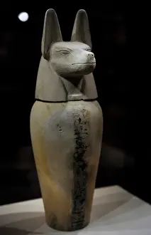Deity: Canopic jar with lid in the form of a jackal: Duamutef. Egyp