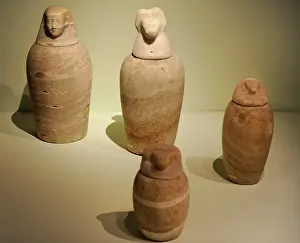 Jackal: Canopic jars. Egypt