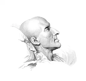 Canova: CANOVA (DEATHBED)