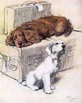 Sealyham: Can't We Come Too? by Cecil Aldin