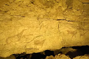 Camargo: Cantabria. Camargo. Cave of El Pendo