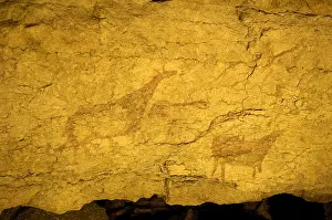 Camargo: Cantabria. Camargo. Cave of El Pendo