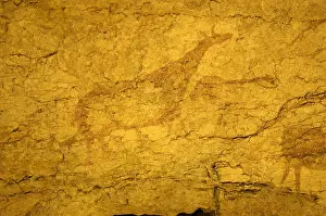 Camargo: Cantabria. Camargo. Cave of El Pendo
