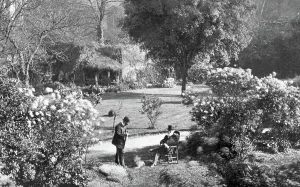 C1868: Canterbury, Cathedral Gardens c1868