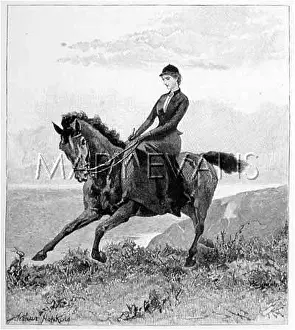 Onward: CANTERIND SIDESADDLE